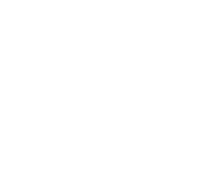 Discord icon
