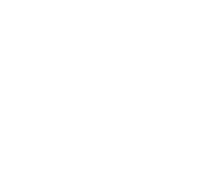 Video icon